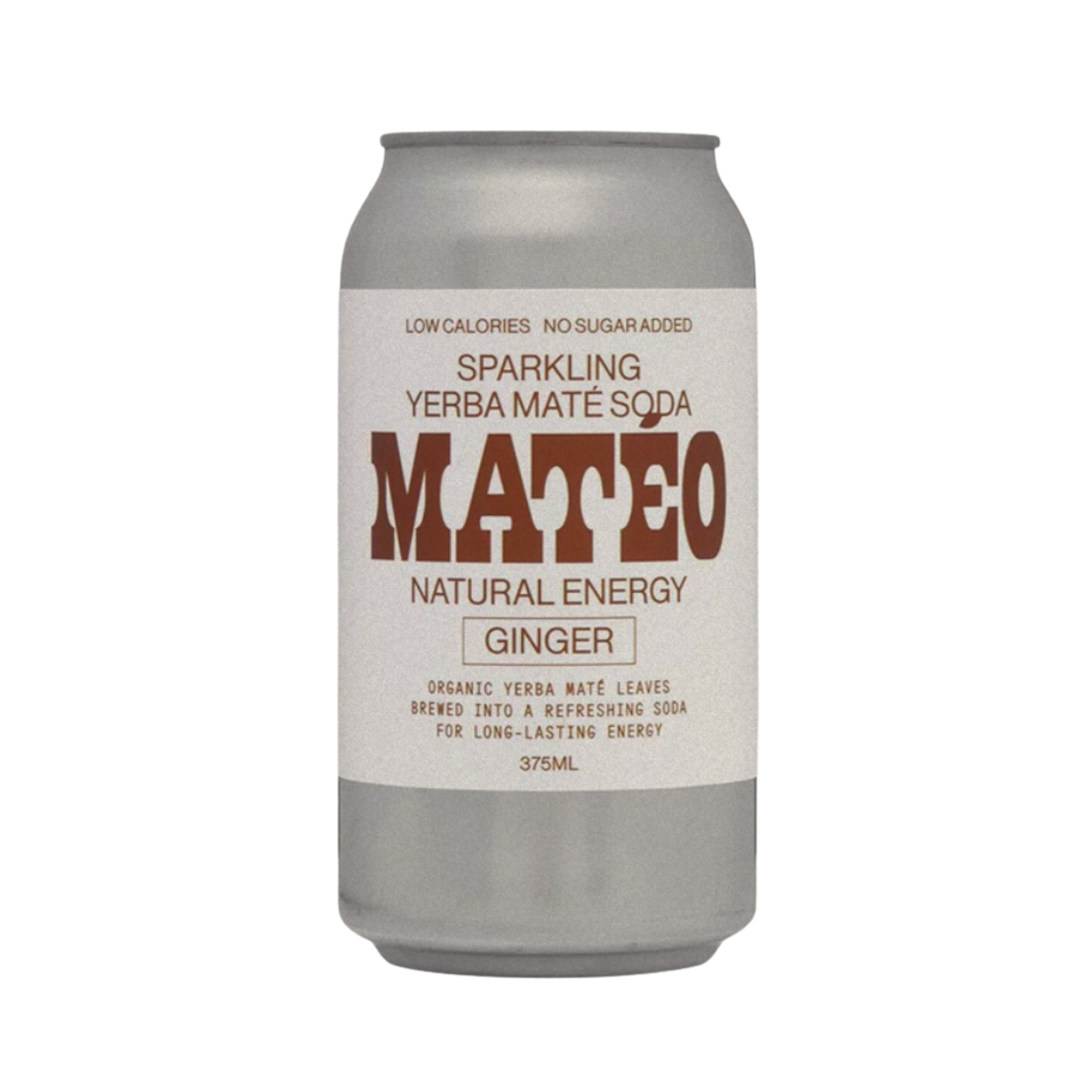 MATEO | GINGER